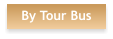By Tour Bus