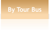 By Tour Bus